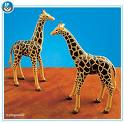 7035PM Playmobil 2 Giraffes